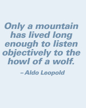 wolfs-howl-quote