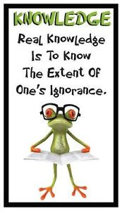 ... about Fridge Magnet: FROG LOGIC - KNOWLEDGE (Funny Motivational Quote