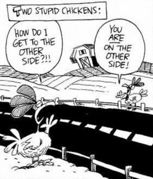 Really funny quotes pictures 2