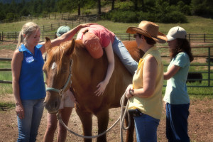 ... horses: reflections and inspiration from our recent equine therapy