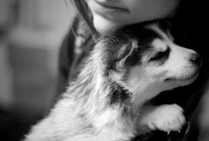 ... , animal, baby, black and white, cuddle, cute, dog, love, owner, pet