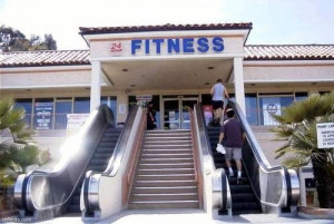 Weak.....take the stairs going in, after leg day then the escalator