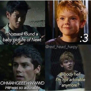 Most popular tags for this image include: newt, thomas, Minho, maze ...