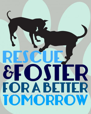 ... Foster Animal, Dogs Quotes, Quotes Wall, Quote Wall, Foster Adoption