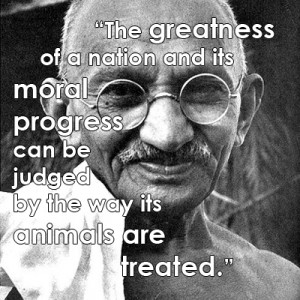 Famous Animal Rights Quotes