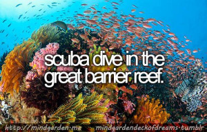 scuba dive in the great barrier reef.