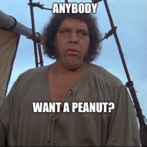 This is Andre the giant wrestler??