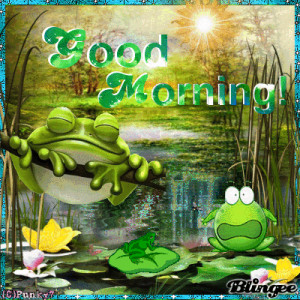 Good Morning Funny Quotes Cute Quote Frog