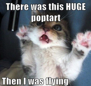 Wednesday, May 8, 2013