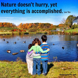 Nature doesn't hurry..so why do we?