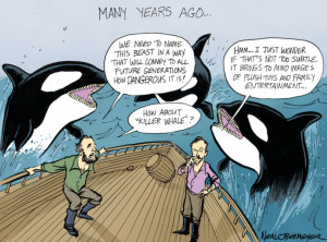 Thread: Killer Whales in captivity...your thoughts?