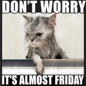 It's almost Friday! :D