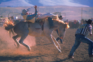 Bullriding Rodeo Western