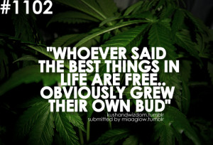 ... said the best things in life are free.. Obviously grew their own bud