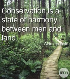 Conservation is a state of harmony between men and land More