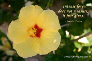 Intense love does not measure, it just gives.