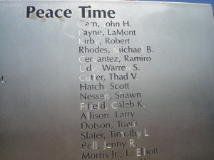 Bible Verses About Pet Loss