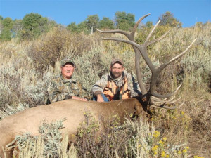 Utah Elk Hunt For Big Bulls