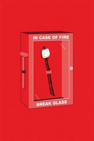 This is better than a fire extinguisher