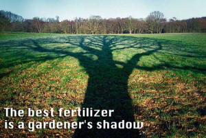 The Best Fertilizer… Quote