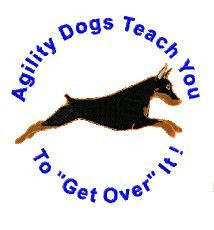 Agility dog teach you