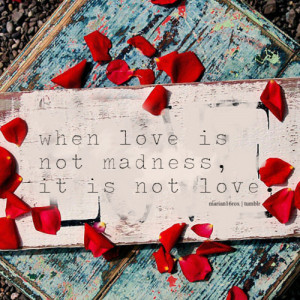 When love is not madness, it is not love. - Pedro Calderon de la Barca
