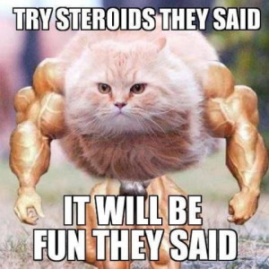 Try Steroids They Said funny pic