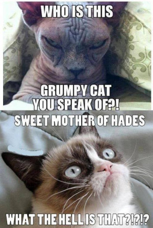 ... , Funny Pictures // Tags: Evil cat vs grumpy cat meme // July, 2013
