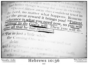 ... all that he has promised.” Hebrews 10:36 (Read all of Hebrews 10