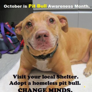 ... has been National Pit Bull Awareness Month and Adopt a Pit Bull Month