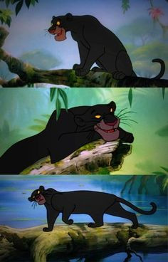 Bagheera More