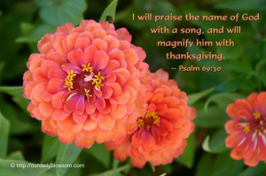 ... God with a song, and will magnify him with thanksgiving. ~ Psalm 69:30