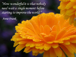 single moment before starting to improve the world anne frank by quote ...
