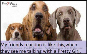 My friends reaction is like this, when they see me talking with a ...
