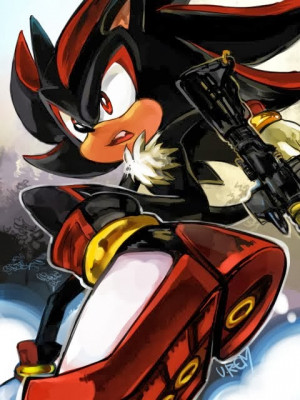 Shadow-shadow-the-hedgehog-30501748-480-640.jpg