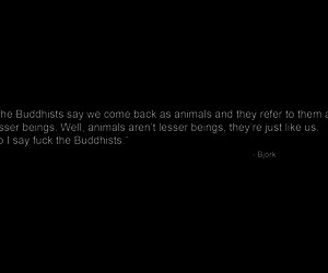 Quotes Religion Björk Buddhism