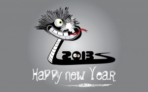 2013-Funny-Happy-New-Year