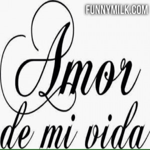 Most Funny Quotes , Love and Relationship Sayings With Pictures In HD