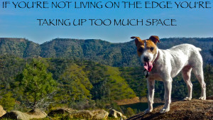 ... -not-living-on-the-edge-youre-taking-up-too-much-space-nature-quote