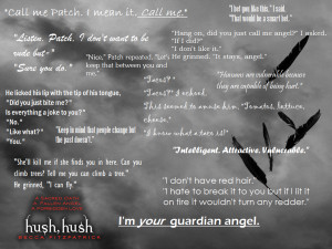 Hush Hush Quotes by Tureis