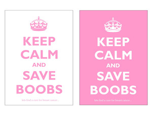 Breast Cancer Awareness Logos and Sayings (Benefit Carol Baldwin ...