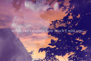 quotes,photo,i,miss,you,love,sunset,trees ...