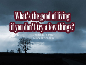 Motivational Quotes: You cannot authentically live anyone’s life but ...