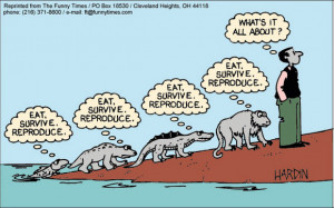 evolution cartoon - More funny Evolution pics!