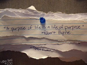 purpose-life-life-purpose--large-msg-128087297339.jpg