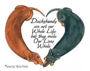 ... not only do i LOVE the quote the dachshunds resemble both of mine