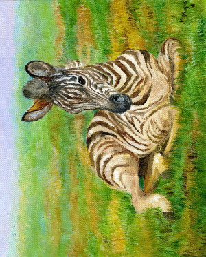 African Animals Zebra Savanna