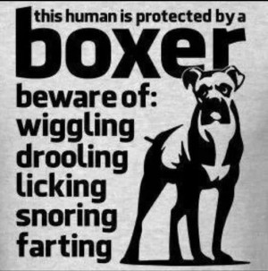 This person is protected by a Boxer
