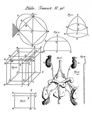 Edmond Halley, * An Estimate of the Degrees of the Mortality * of