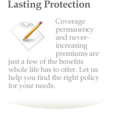 2015 © www.wholeinsurancequotes.com Privacy Policy Terms of Service